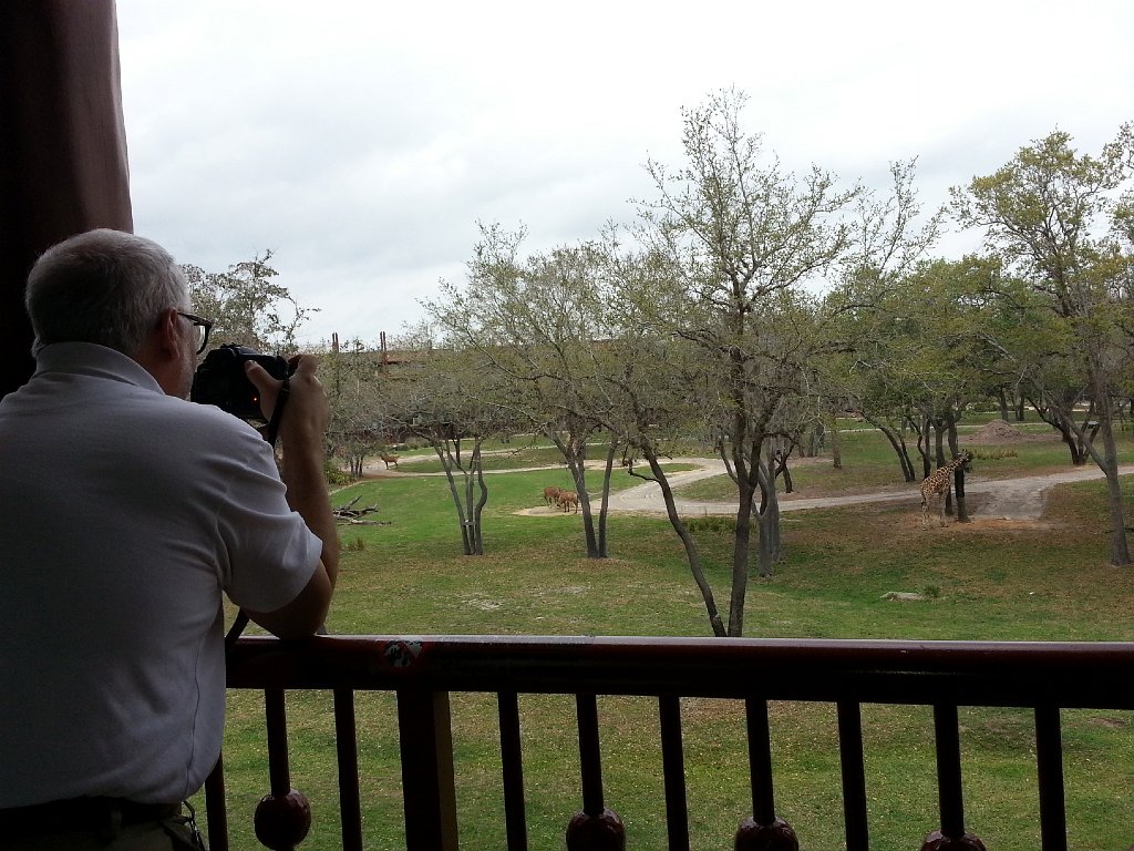 2013-04-14 11.50.01.jpg - Mojo shooting pics at Arusha savanna from our balcony.